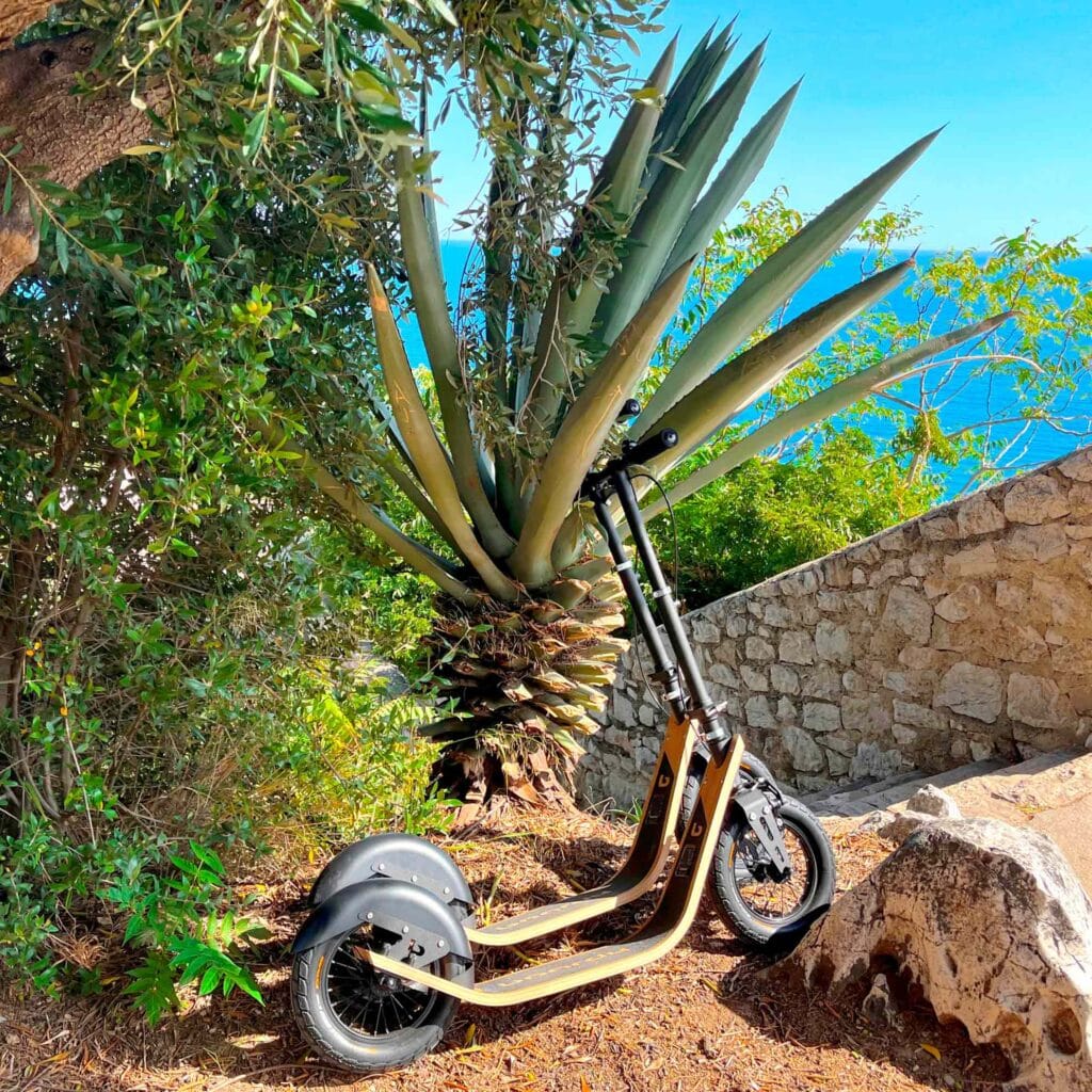 kick scooter in nature